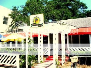 Palm Coast Pub