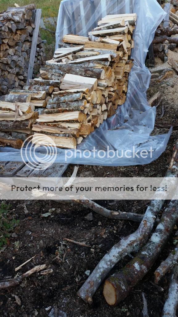 20140926_180252_zpsb417bd4f.jpg