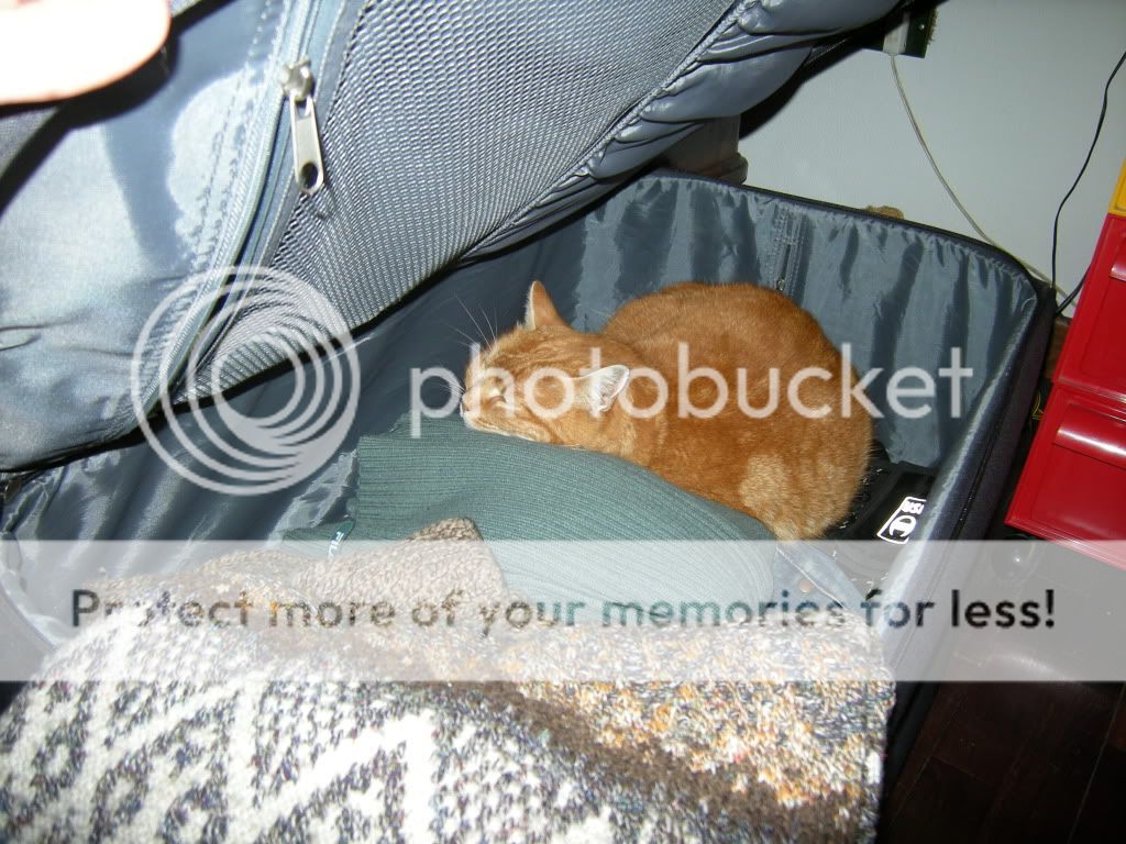 DSCN4388.jpg