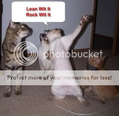cats.jpg