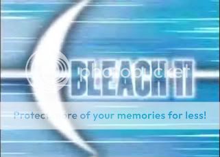 Bleach 11