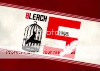 Bleach 5