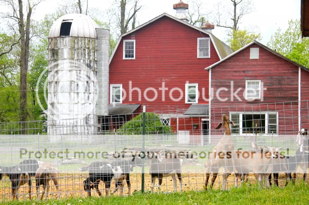 photo IMG_9600.jpg