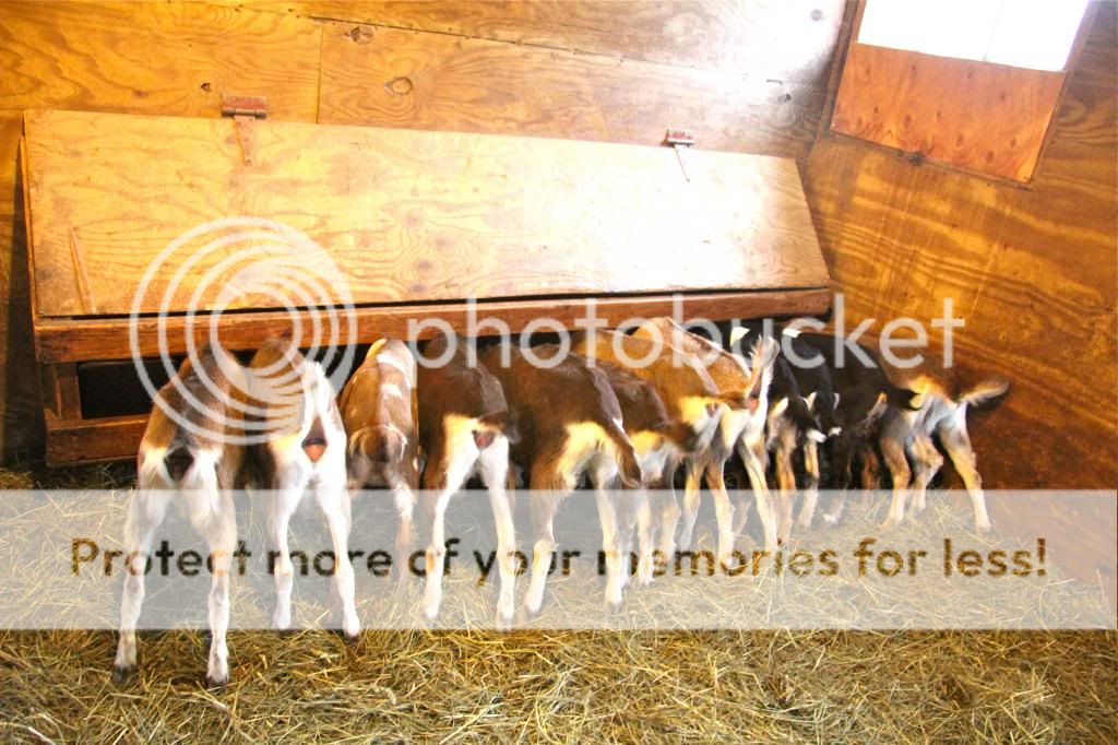 photo IMG_9692.jpg