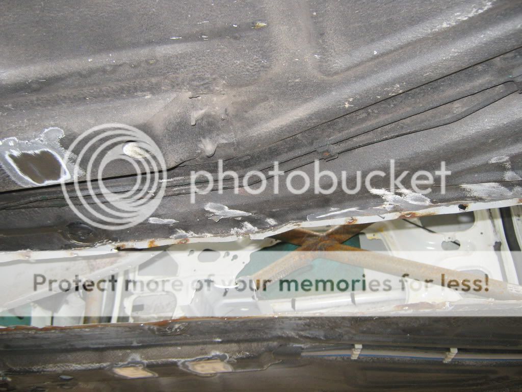 IMG_1768.jpg