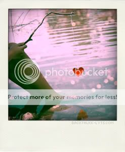 heart polaroid Pictures, Images and Photos