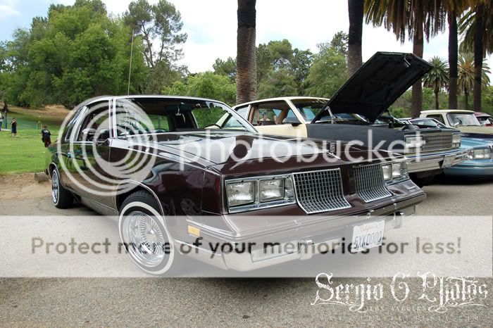 1983 cutlass supreme