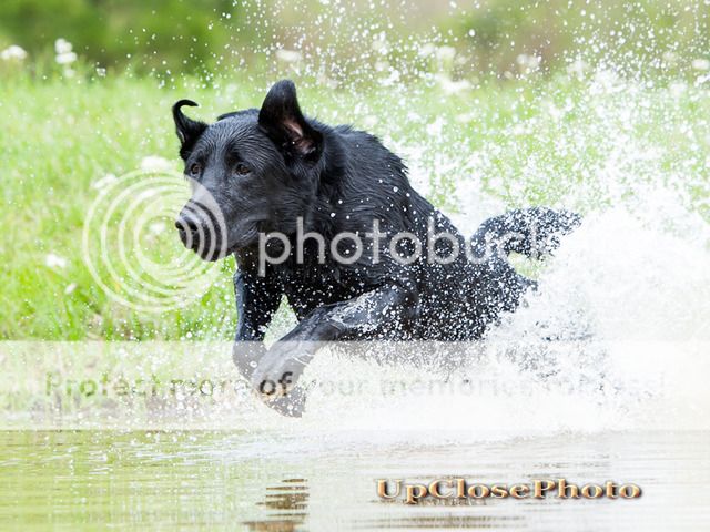 Tank3 photo image_2.jpeg