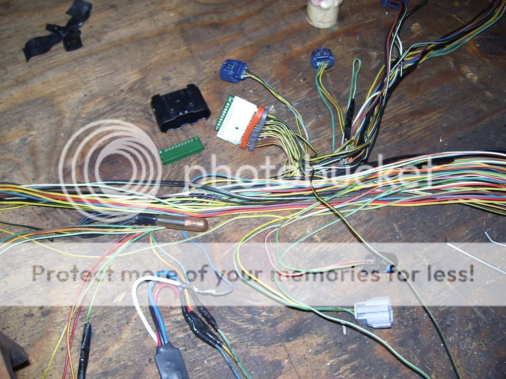 Engine Harness Black Ground Box Question K20a Org The K Series Harley Wiring Harness Diagram K20a Wiring Harness